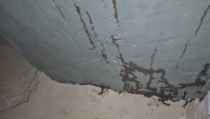 Ces insectes xylophages peuvent attaquer les planchers ou les menuiseries, la charpente,  sans laisser de traces visibles, car ils creusent le bois de l’intérieur.