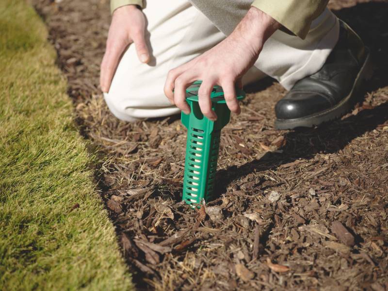Pose de stations contenant un appât attractif et une substance active
